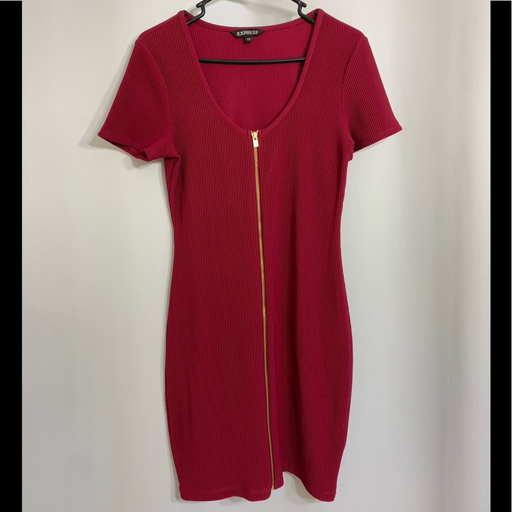 Express zip dress